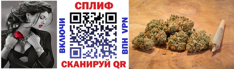 Купить где Тула Марихуана ГИДРОПОН